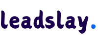 leadslay local business service provider